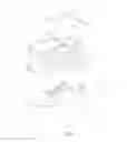 Fig. 02 - LUMINOUS SHOE