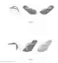 Fig. 02 - FOOTWEAR KIT AND METHOD FOR PRODUCTION OF THE KIT