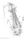 Fig. 14 - Article of footwear with soil-shedding performance