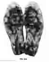 Fig. 18 - Article of footwear with soil-shedding performance