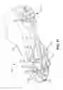 Fig. 15 - Article of footwear with soil-shedding performance