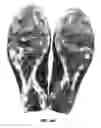 Fig. 23 - Article of footwear with soil-shedding performance