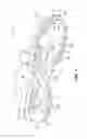 Fig. 02 - Article of footwear with soil-shedding performance