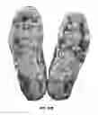 Fig. 19 - Article of footwear with soil-shedding performance