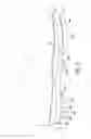 Fig. 02 - Sole structure with traction elements