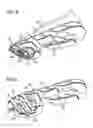 Fig. 11 - Shoe and sole