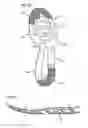 Fig. 13 - Shoe and sole