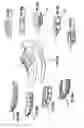 Fig. 16 - Shoe and sole
