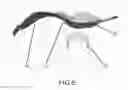 Fig. 08 - Shoe Lace Securing Device