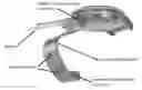 Fig. 01 - ANALOG WATCH WITH DIGITAL WEARABLE SYSTEM