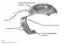 Fig. 05 - ANALOG WATCH WITH DIGITAL WEARABLE SYSTEM