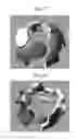Fig. 04 - ACCESSORY/DECORATION THAT OPENS LIKE A FLOWER