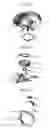 Fig. 05 - ACCESSORY/DECORATION THAT OPENS LIKE A FLOWER