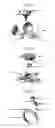 Fig. 06 - ACCESSORY/DECORATION THAT OPENS LIKE A FLOWER