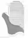 Fig. 01 - Textured device for cleaning cosmetic brushes