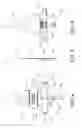 Fig. 03 - Jewelry display hanger