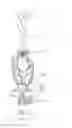 Fig. 02 - MODULAR TROPHY STRUCTURE