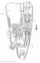 Fig. 06 - Spray mop having a pivoting liquid reservoir assembly
