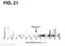 Fig. 22 - Device and method for in vivo flow cytometry using the detection of photoacoustic waves