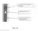 Fig. 13 - Service-detectable analyte sensors and methods of using and making same