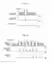 Fig. 06 - IMAGING APPARATUS AND CONTROL METHOD THEREFOR, AND LIGHTING SYSTEM AND CONTROL METHOD THEREFOR