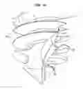 Fig. 06 - Bone fixture for medical prosthesis