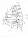 Fig. 13 - ROD DELIVERY TOOL FOR USE IN PEDICLE SCREW SYSTEMS