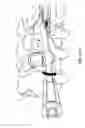 Fig. 21 - ROD DELIVERY TOOL FOR USE IN PEDICLE SCREW SYSTEMS