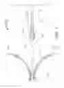 Fig. 02 - Method for painless renal denervation using a peri-vascular tissue ablation catheter with support structures