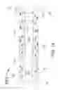 Fig. 17 - Method for painless renal denervation using a peri-vascular tissue ablation catheter with support structures