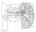 Fig. 01 - METHODS FOR MODULATING RENAL NERVE TISSUE AND ASSOCIATED SYSTEMS AND DEVICES