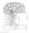 Fig. 02 - METHODS FOR MODULATING RENAL NERVE TISSUE AND ASSOCIATED SYSTEMS AND DEVICES