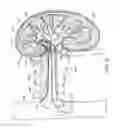 Fig. 07 - METHODS FOR MODULATING RENAL NERVE TISSUE AND ASSOCIATED SYSTEMS AND DEVICES
