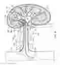 Fig. 13 - METHODS FOR MODULATING RENAL NERVE TISSUE AND ASSOCIATED SYSTEMS AND DEVICES