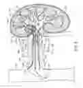 Fig. 14 - METHODS FOR MODULATING RENAL NERVE TISSUE AND ASSOCIATED SYSTEMS AND DEVICES