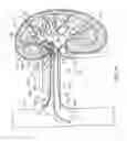 Fig. 16 - METHODS FOR MODULATING RENAL NERVE TISSUE AND ASSOCIATED SYSTEMS AND DEVICES