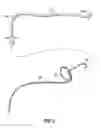 Fig. 05 - Systems and methods for treating the heart with ablation