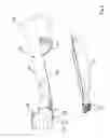 Fig. 03 - Dental handpieces