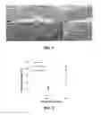 Fig. 03 - Biocompatible tissue graft