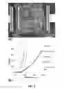 Fig. 05 - Biocompatible tissue graft
