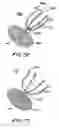 Fig. 24 - Filter apparatus for ostium of left atrial appendage