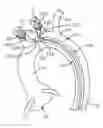 Fig. 01 - Embolic protection device