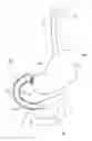 Fig. 01 - Adjuncts for gastrointestinal devices