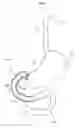 Fig. 02 - Adjuncts for gastrointestinal devices