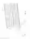 Fig. 11 - Bariatric sleeve