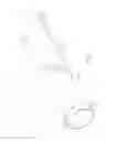 Fig. 13 - Bariatric sleeve