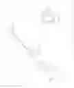 Fig. 14 - Bariatric sleeve