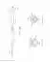 Fig. 29 - Bariatric sleeve