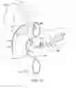 Fig. 07 - Anti-leakage prosthesis
