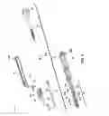 Fig. 04 - ADVANCED PUSHROD AND PUSHROD ASSEMBLY FEATURES